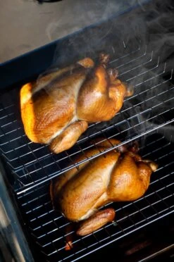 Bradley Digital Smoker 6-Rack / Elektro Räucherofen -GrillWelt Verkäufe 13237 Bradley Smoker Gefluegel