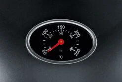 Severin Elektrogrill - Standgrill Mit Grillplatte Und Haube - 2.000 W -GrillWelt Verkäufe 21547 severin pg8541 barbecue elektrogri 6 1590737833