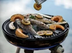 CADAC Camping Gasgrill Carri Chef 50 / BBQ Plancha + Dome - 30 Mbar -GrillWelt Verkäufe CADAC Carri Chef 50 30mbar Plancha