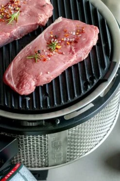 Cobb Grill Premier Gas Deluxe 2.0 - Gasgrill - Kartuschenanschluss - Modell 2023 -GrillWelt Verkäufe Cobb Grasgrill Premier Deluxe 2 Griddle Grillplatte