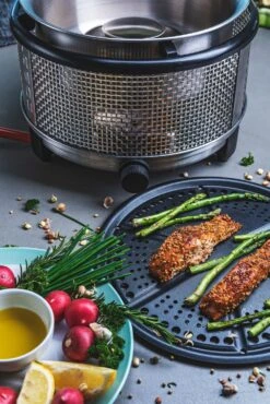 Cobb Grill Premier+ Gas Deluxe Gasgrill 50mbar - Modell 2023 -GrillWelt Verkäufe Cobb Grill Premier Plus Gas Deluxe Griddle