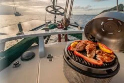 Cobb Grill Supreme Deluxe 2.0 Holzkohlegrill - Modell 2023 13 Cobb Grill Supreme Deluxe 2.0 Holzkohlegrill - Modell 2023 -GrillWelt Verkäufe Cobb Grill Supreme Deluxe 2 0 600 1 Griddle