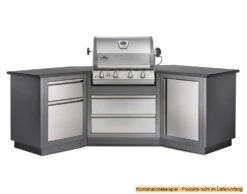 Napoleon Outdoor Küche Oasis Universalschrank -GrillWelt Verkäufe Napoleon Outdoor Kueche Oasis 1