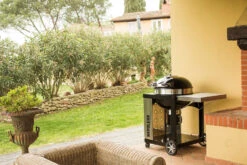 Napoleon Holzkohlegrill Kugelgrill Ø 57cm Im Rollwagen Mit Gussrost Und Deckelscharnier PRO22K-Cart-2 -GrillWelt Verkäufe napoleon grill terrasse PRO22K CART 2