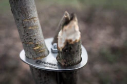 Petromax Dreibein-Ring -GrillWelt Verkäufe petromax dreibeinring detail d ring