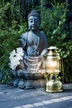 Petromax Petroleumlampe HK500/829 Messing -GrillWelt Verkäufe petromax starklichtlampe hk500 px5m 16